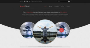 Brandneu – Ein exklusives WordPress Template